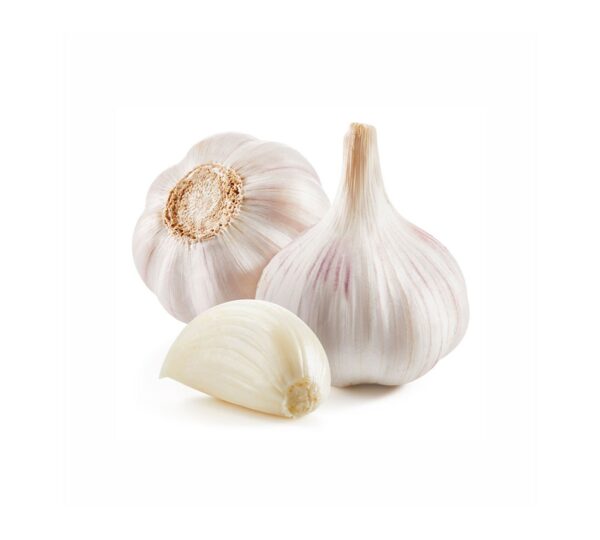 buy fresh organic garlic online