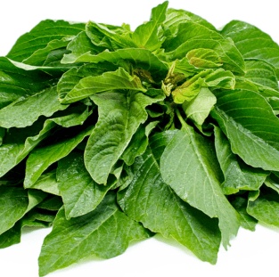 african spinach green