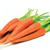 carrot fruit