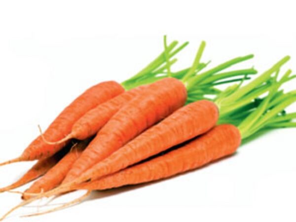 carrot fruit