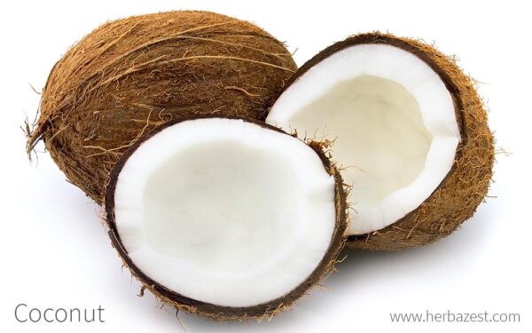 coconut fruit