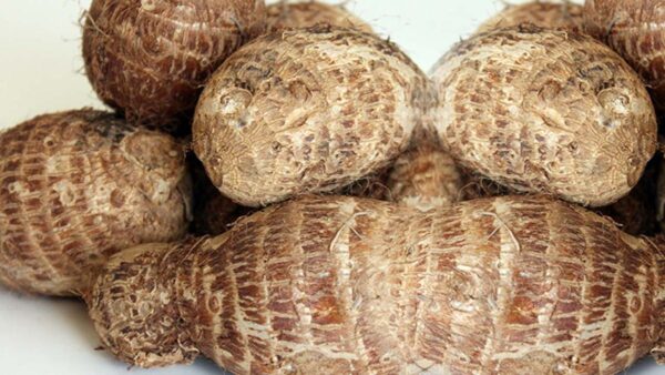 ede cocoyam