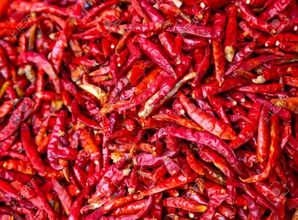 dry red chilli pepper