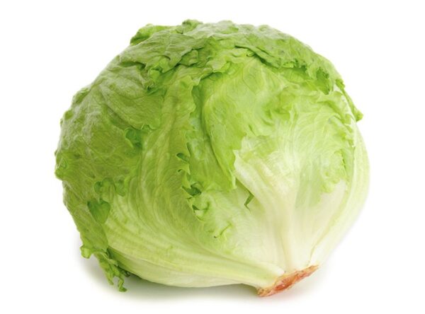 lettuce