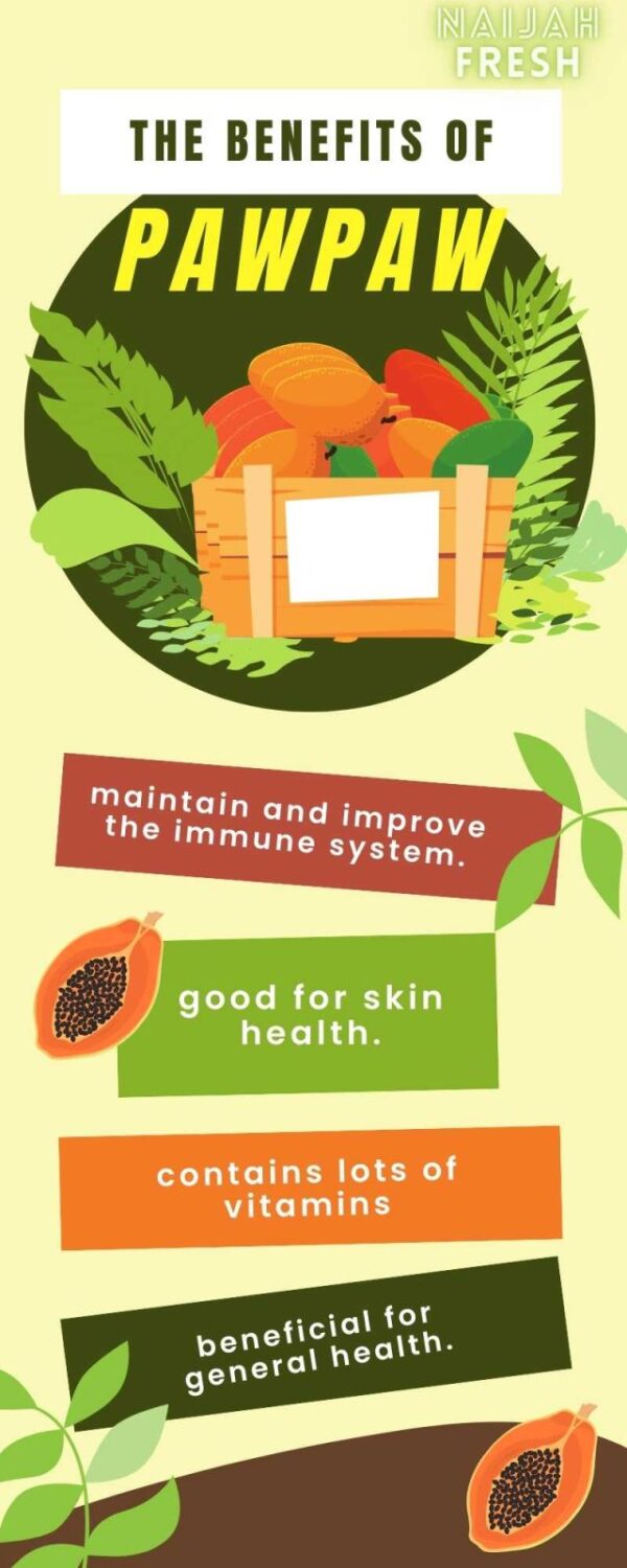 Pawpaw The Mighty Fruit, The Great Health Benefits and How Best To Eat