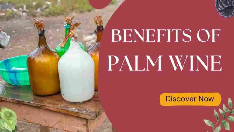 Benefits of Palm wine