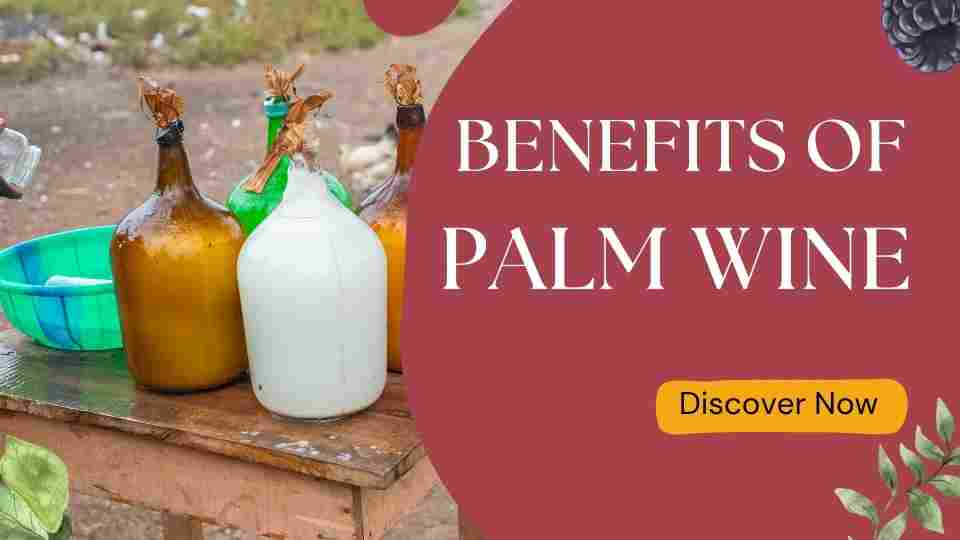 Benefits of Palm wine