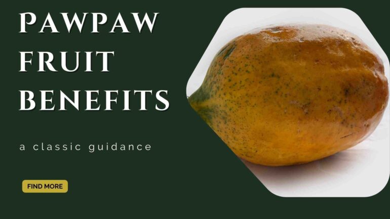 Pawpaw fruit benefits