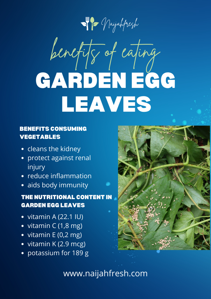 benefits of garden eggs leaves to kidney