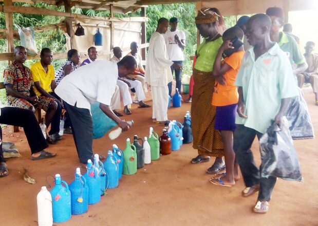 palm wine price