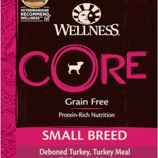 Wellness core dog food