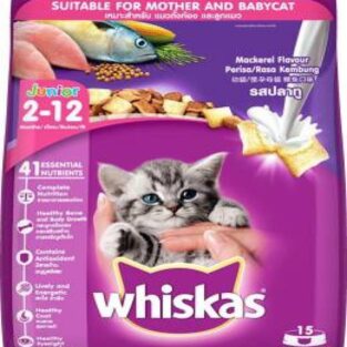 whiskas junior cat food