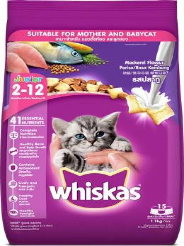 whiskas junior cat food