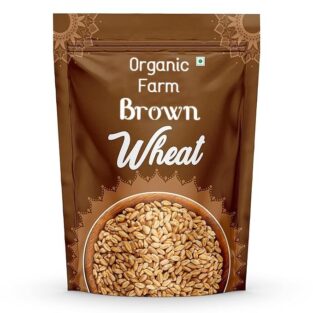 wheat from organic farm. Elevate your recipes with this premium organic wheat, perfect for baking and cooking