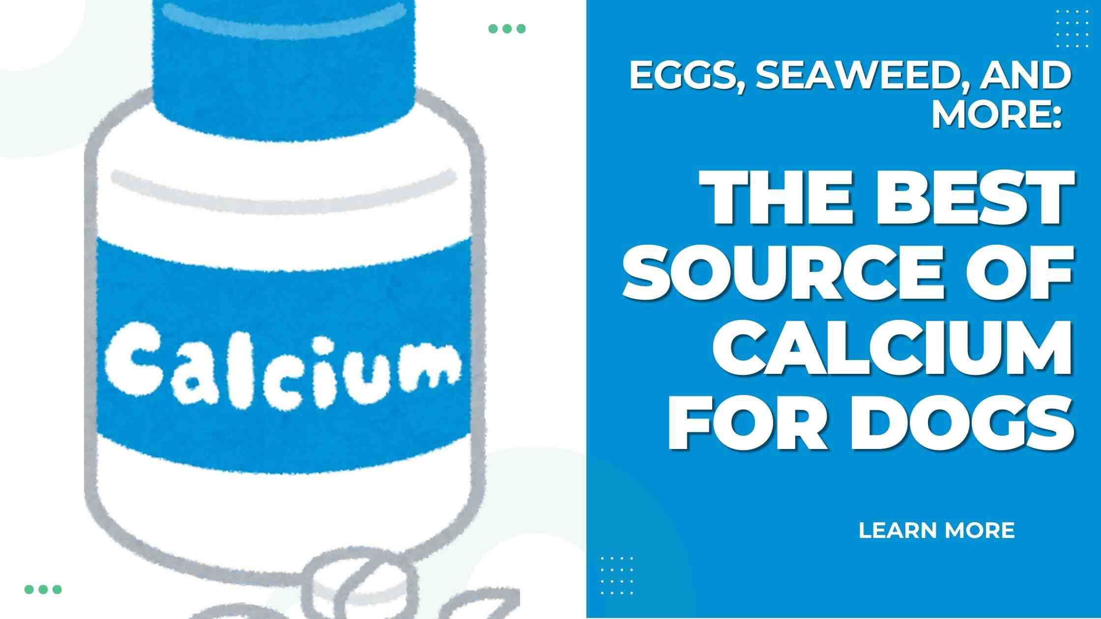 Best calcium source for dogs