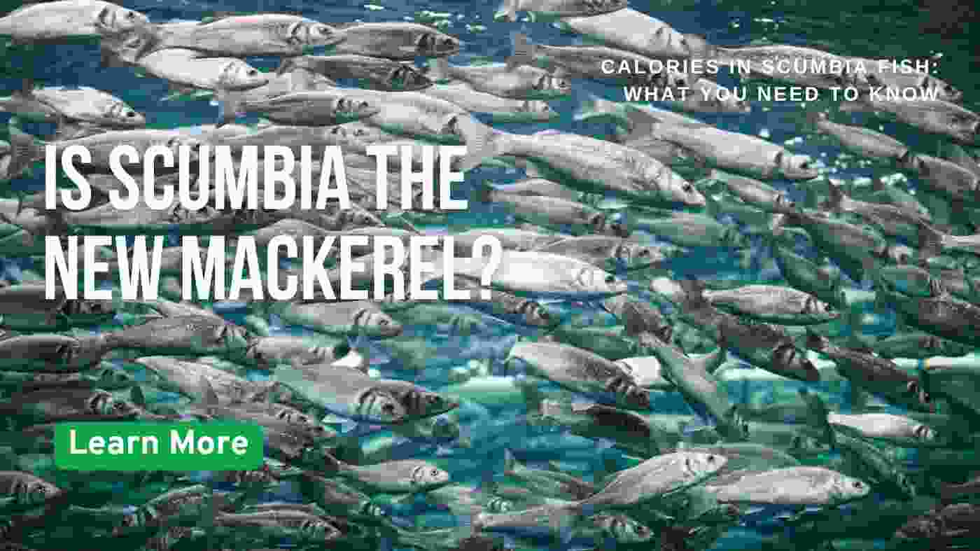 Scumbia fish origin